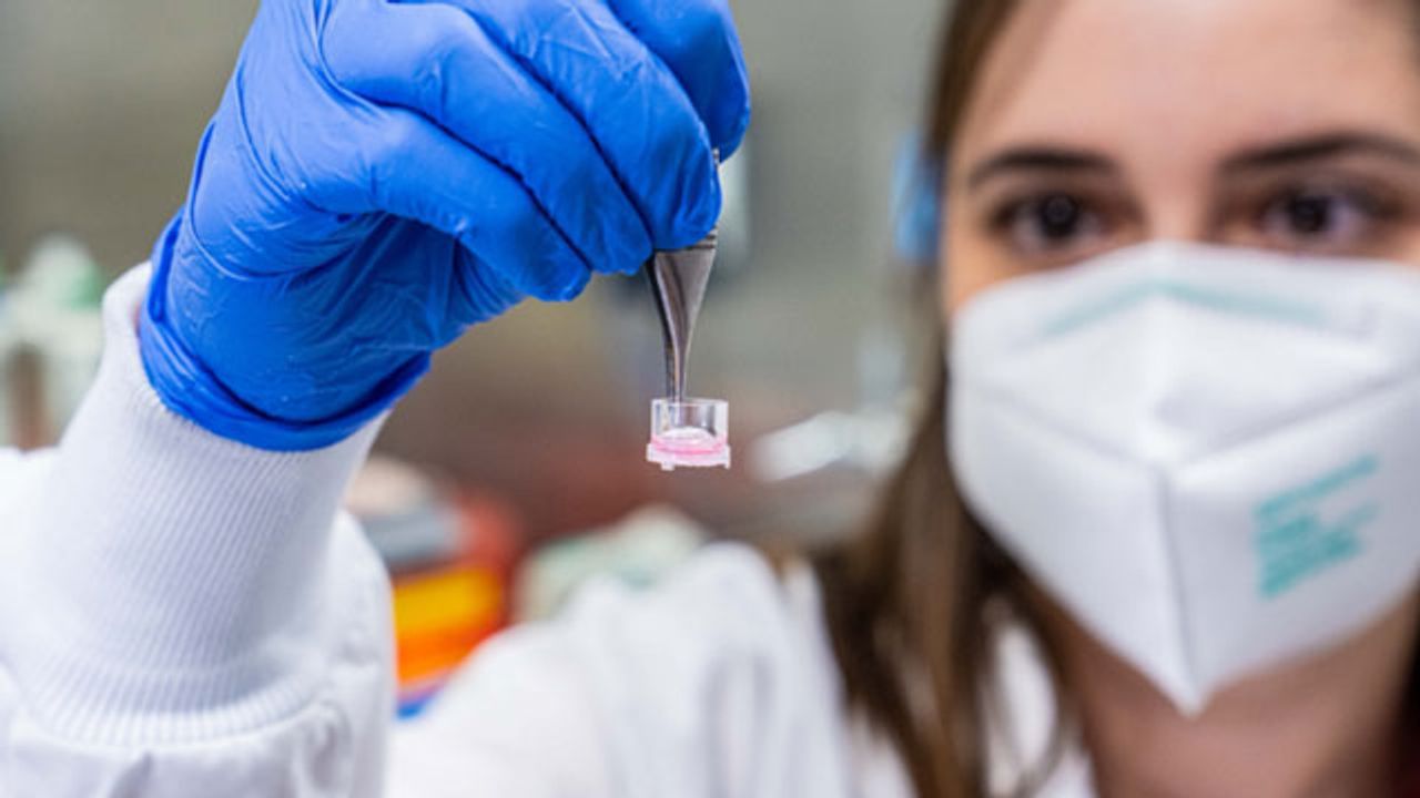 3D Brain Tumor Model To Aid Development of Personalized Cancer Treatments