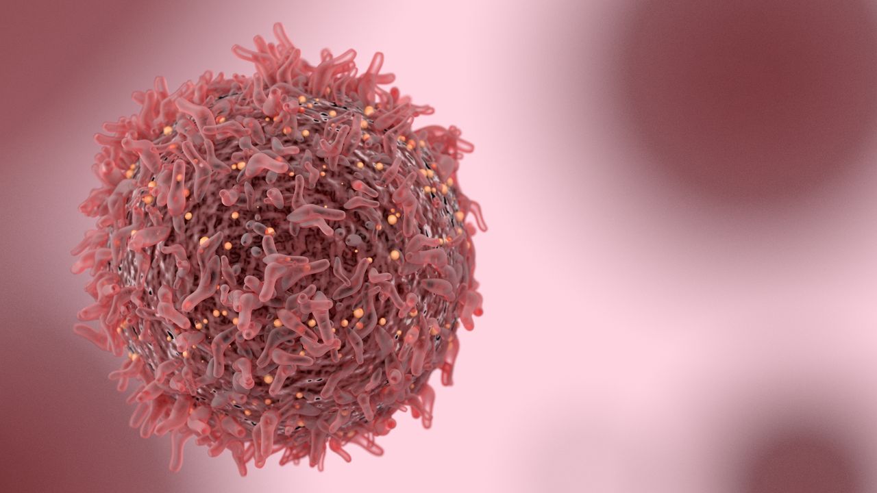Altered Amino Acid Metabolism Creates Weak Spot in Liver Cancers