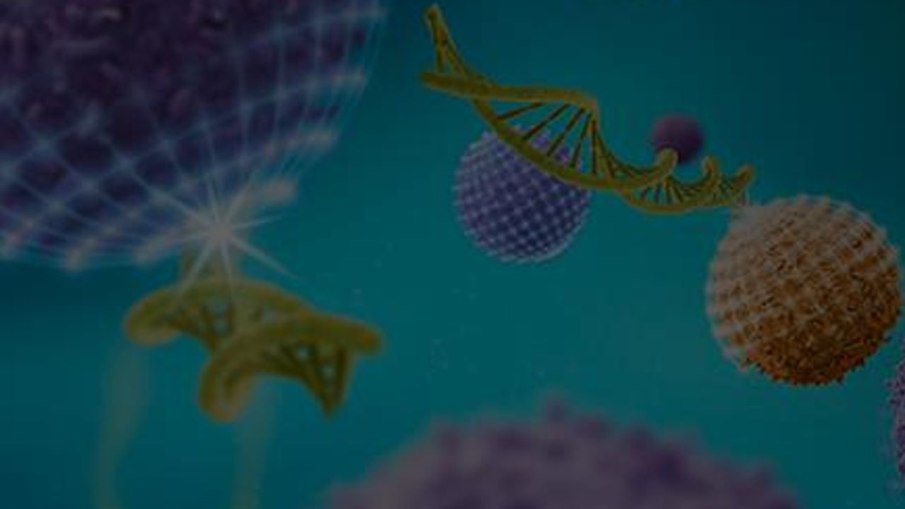 Catapult Your Cell Therapy Research Into the Clinic: CAR Natural Killer Cells and Tregs