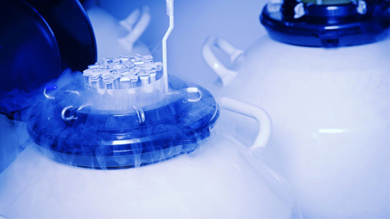New Frontiers in Freezing: Cryopreservation Advances