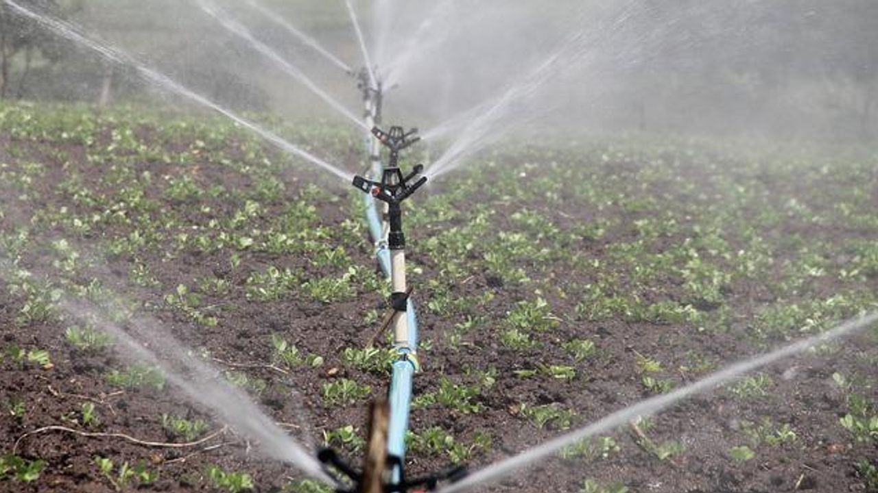 Does the Use of Reclaimed Wastewater on Fruit and Vegetables Pose a Health Risk to Consumers?
