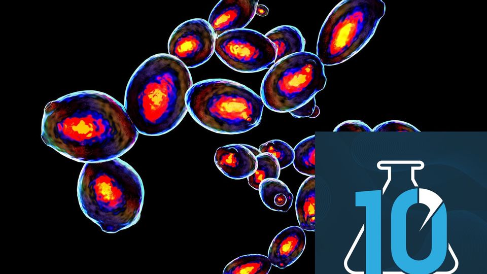 An Introduction to Flow Cytometry With Dr. Eric Yager content piece image