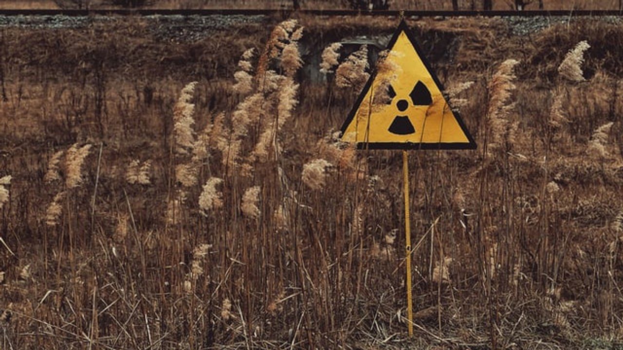 Rapid Revegetation Has Aided Fukushima Recovery