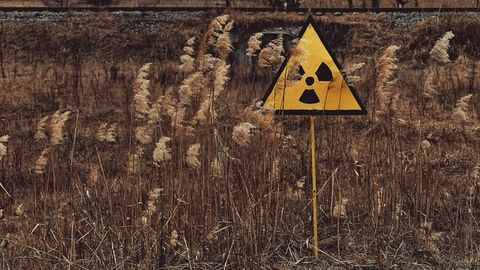 Rapid Revegetation Has Aided Fukushima Recovery