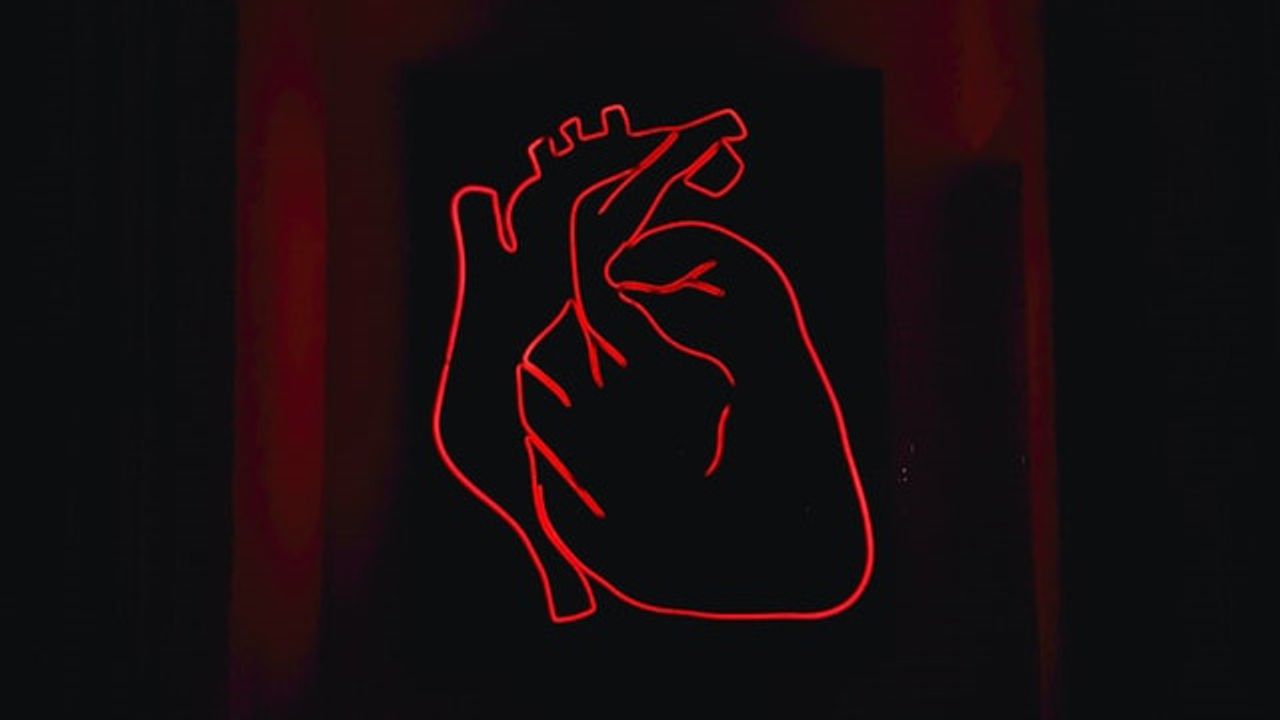 Genes Involved in Coronary Heart Disease Appear To Be Similar for Everyone