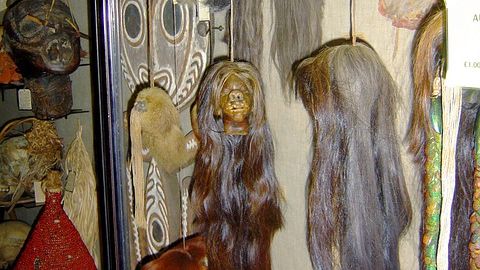 Museum Shrunken Head Confirmed To Be Human Remains