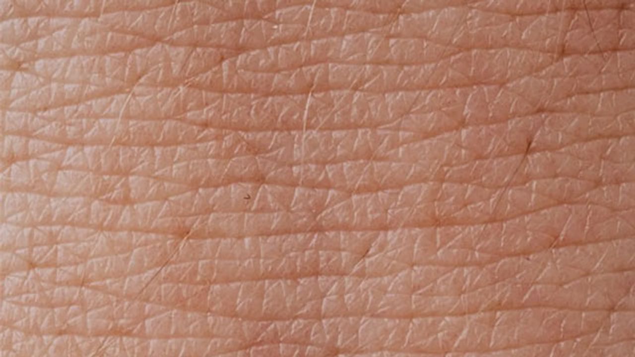 Key Mechanism Controlling Skin Regeneration Identified