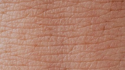 Key Mechanism Controlling Skin Regeneration Identified
