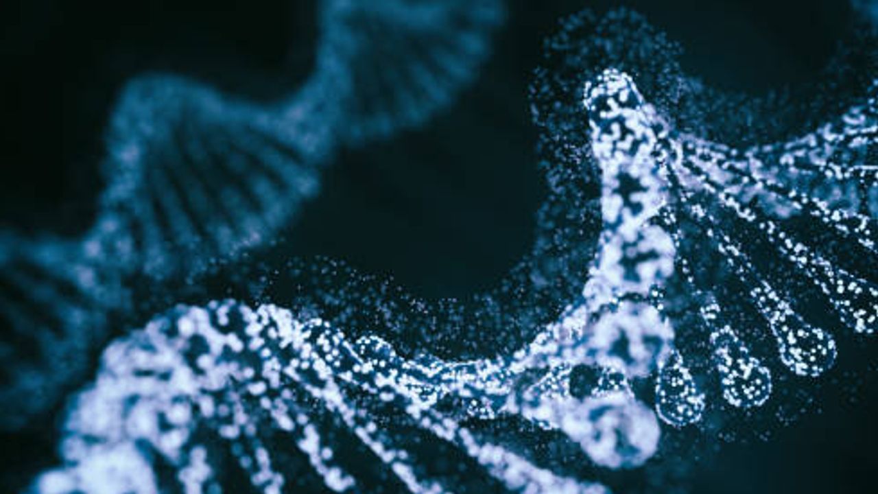 Benefits of Quality Control in the IVT RNA Workflow
