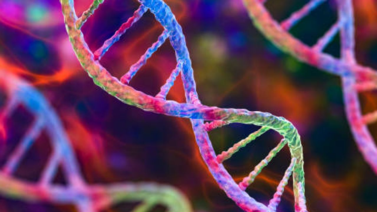 Detection and Characterization of Mitochondrial Toxicity