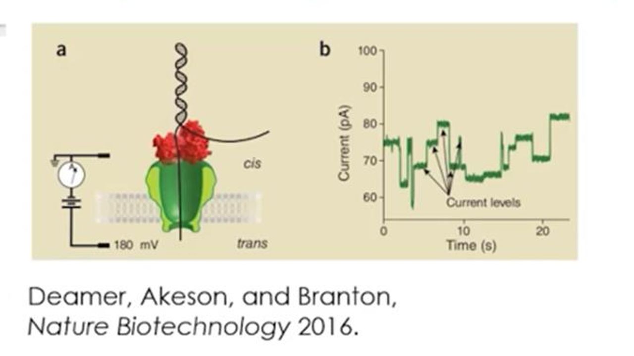 Nanopore Sequencing of Cancer Genomes