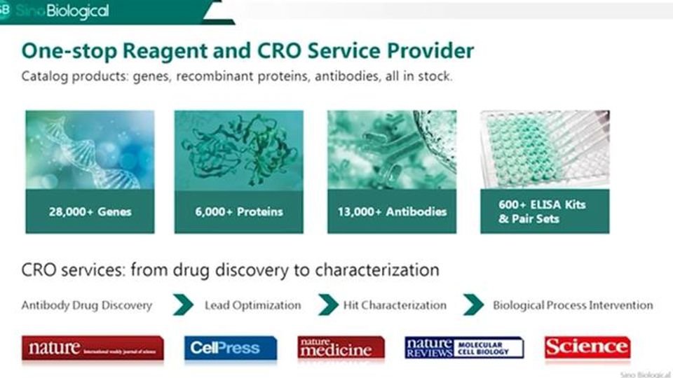 Antibody-Based Therapeutics Against Cancer: Emerging Targets and Research Tools content piece image