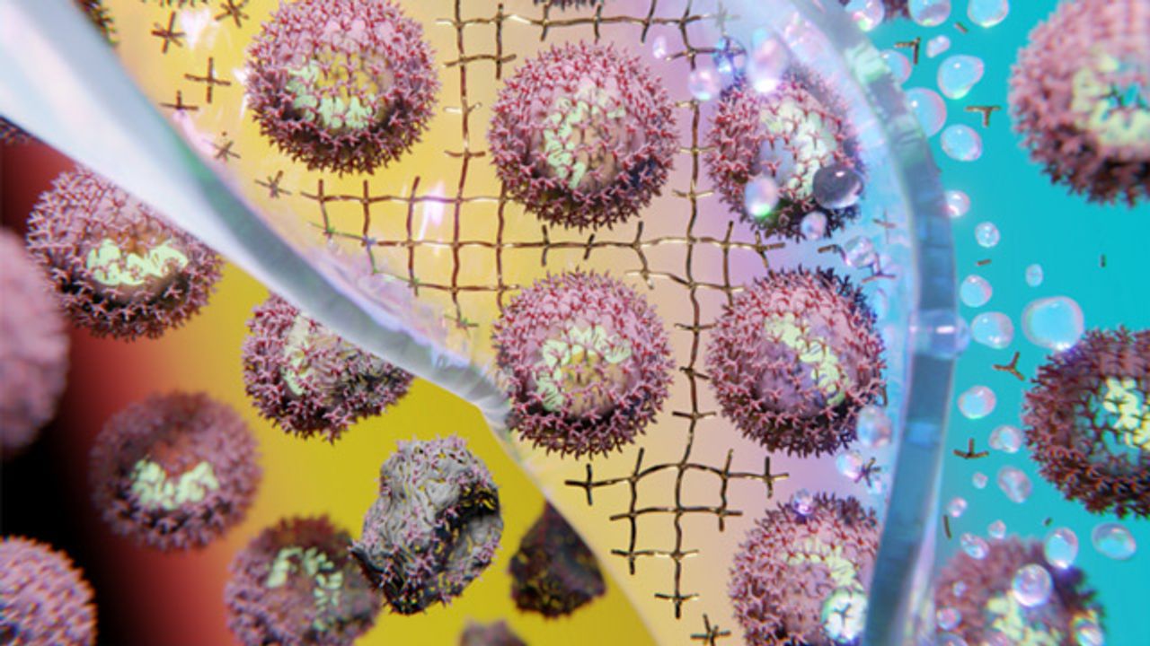 Hydrogel Vastly Improves the Shelf Life of Vaccines