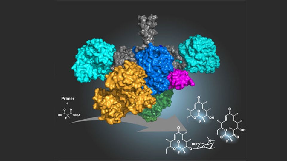 小说生产抗生素生物合成方法内容块的形象