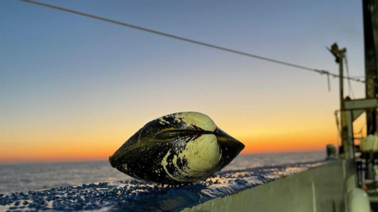 Rapid Warming Has Reversed 900 Years of Ocean Cooling
