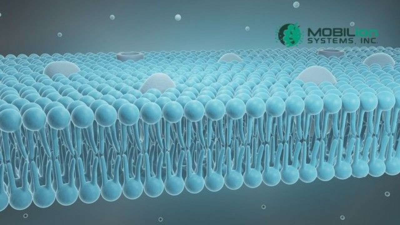 Exploring the Lipid Landscape and Unravelling Isomers