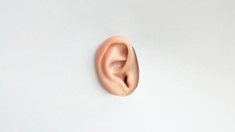 Gene Therapy Takes Step Towards Restoring Lost Hearing