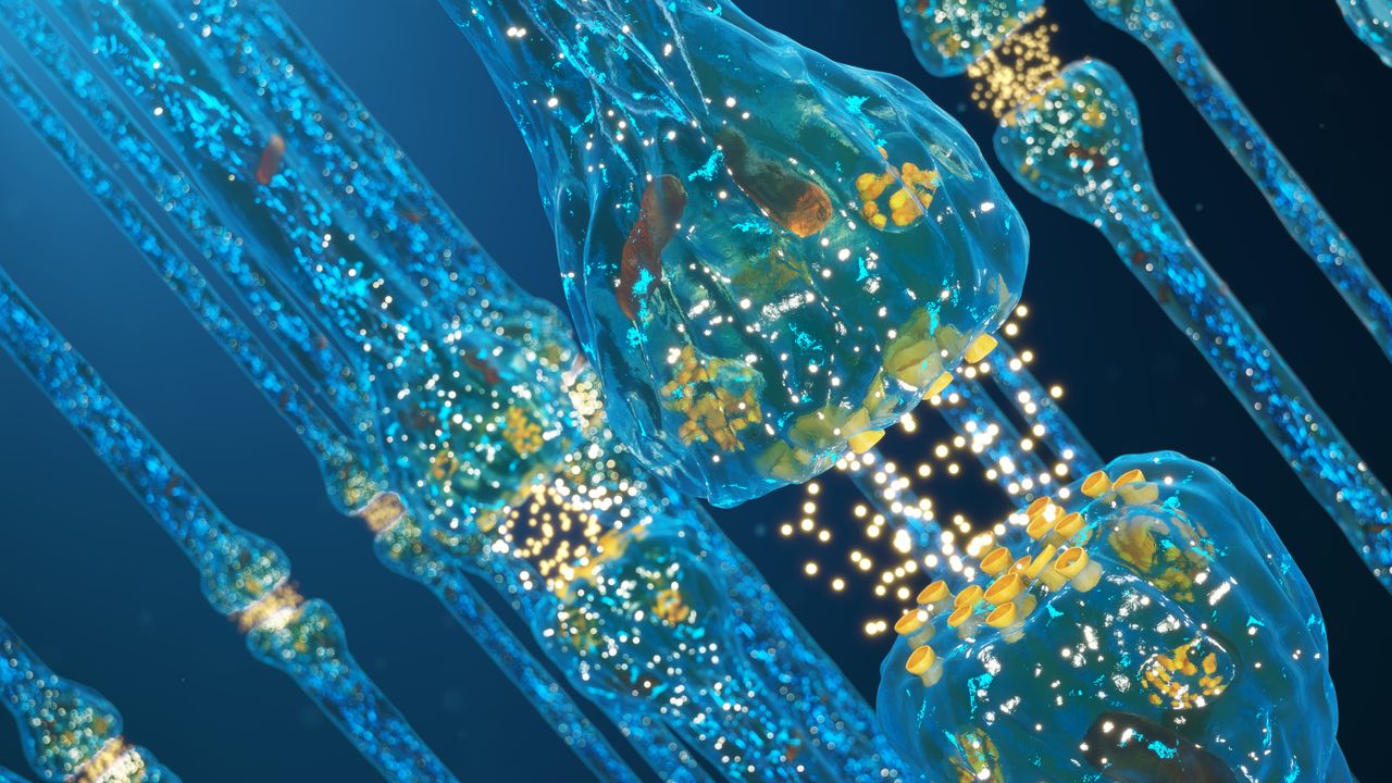 Microbiome Molecule Can Induce Neuronal Inflammation