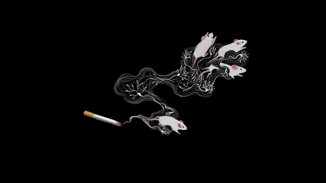 Would You Still Smoke Cigarettes if They Made You Throw Up?