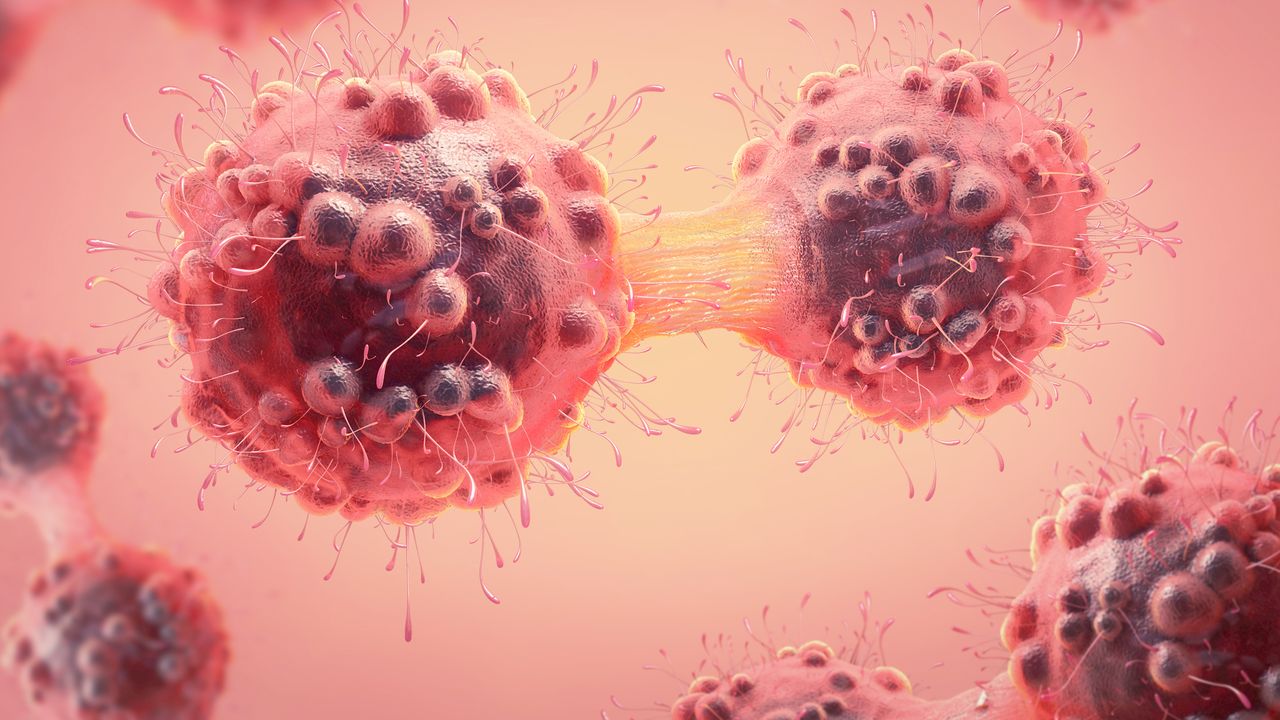 Molecular Pathway Identified That Can Curb the Spread of Glioblastoma