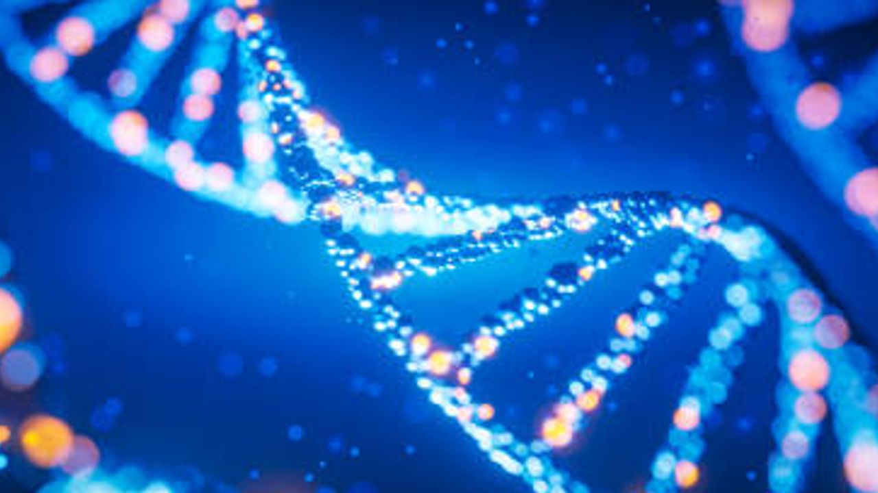 Quick and Easy Solution for Plasmid Analysis