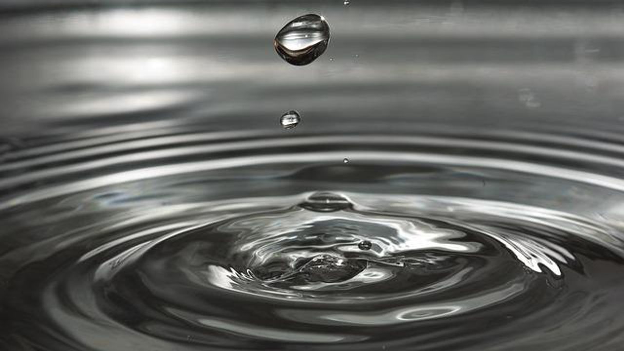 Eco-Friendly Filter Removes Microplastics From Water