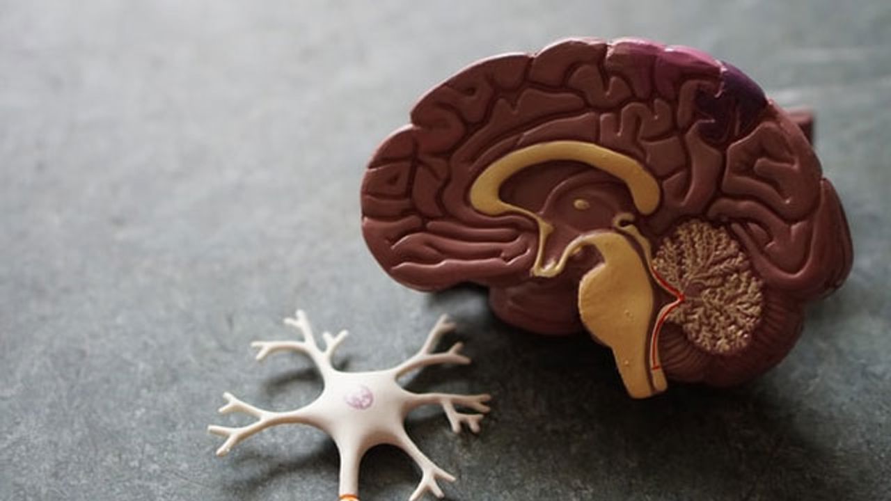 Abnormal Protein Could Link All Forms of Motor Neuron Disease