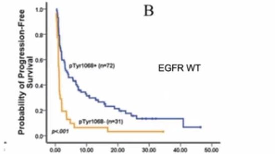Development and Implementation of Clinical Proteomics for Precision Oncology Applications and Therapeutic Drug Development content piece image