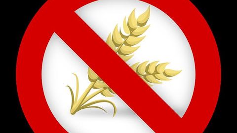 Some Food Proteins Help To Prevent Food Immune Intolerance