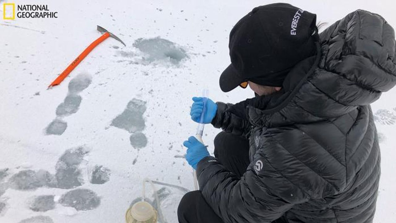 Everest’s Wildlife Mysteries Are Being Solved With Environmental DNA