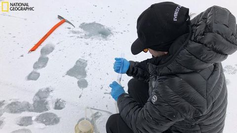 Everest’s Wildlife Mysteries Are Being Solved With Environmental DNA