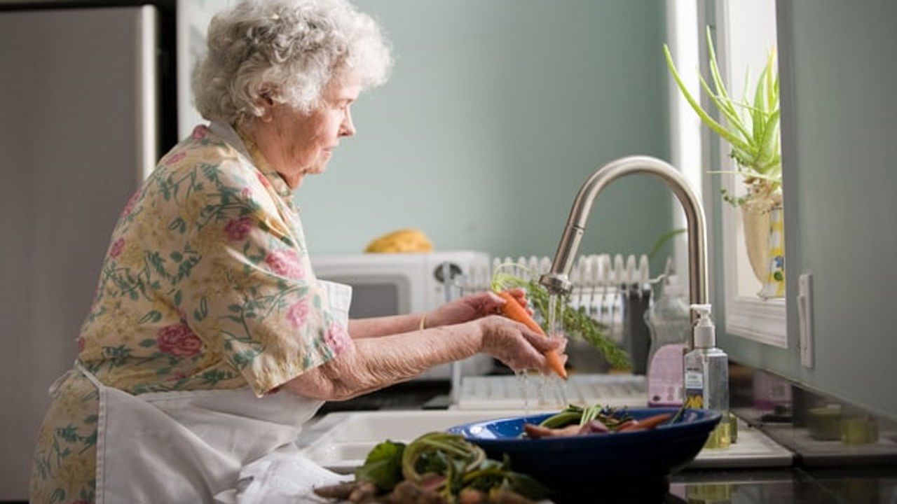 Calorie Reduction Extends Health Span and Lowers Levels of Inflammatory Protein