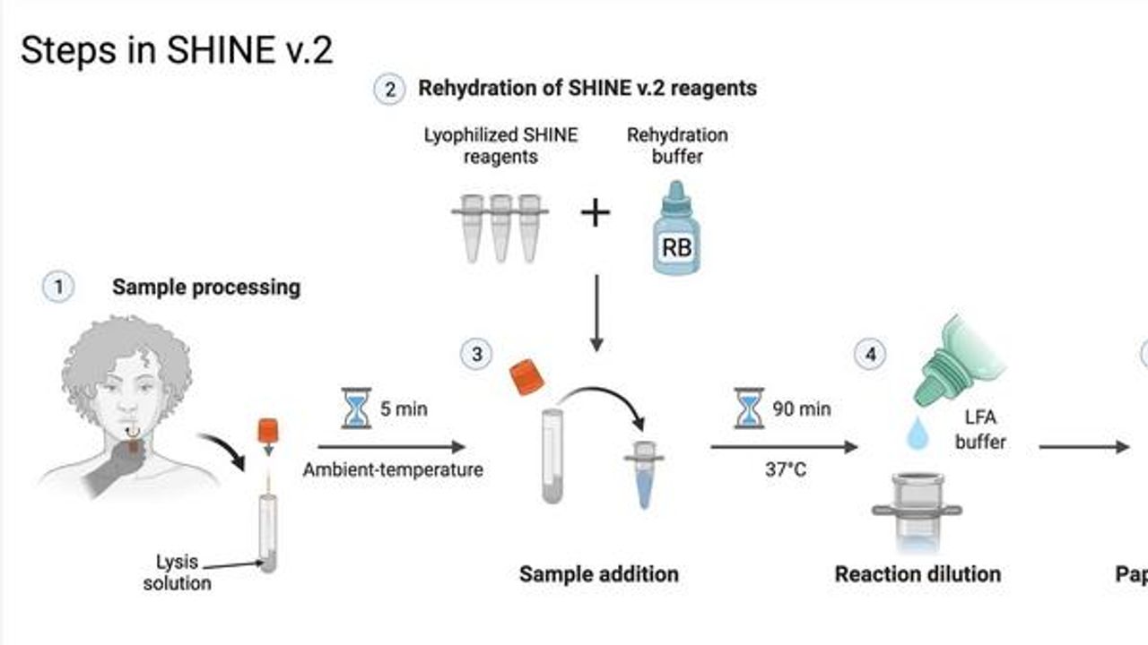 CRISPR-Based Test Enables Rapid Detection of SARS-CoV-2 Variants