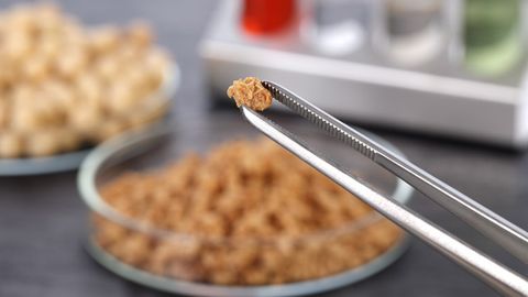 Cultured Meat Comes Closer to Your Kitchen