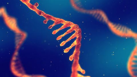 New Technology Profiles RNA Structure at the Resolution of a Single Molecule in Live Cells