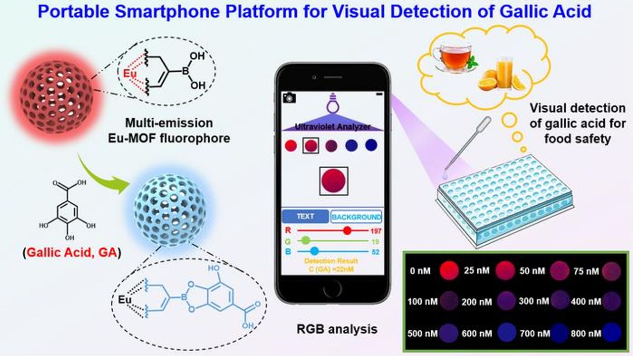 Fluorescence-Based Platform Developed To Monitor Food Safety