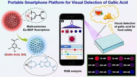 Fluorescence-Based Platform Developed To Monitor Food Safety