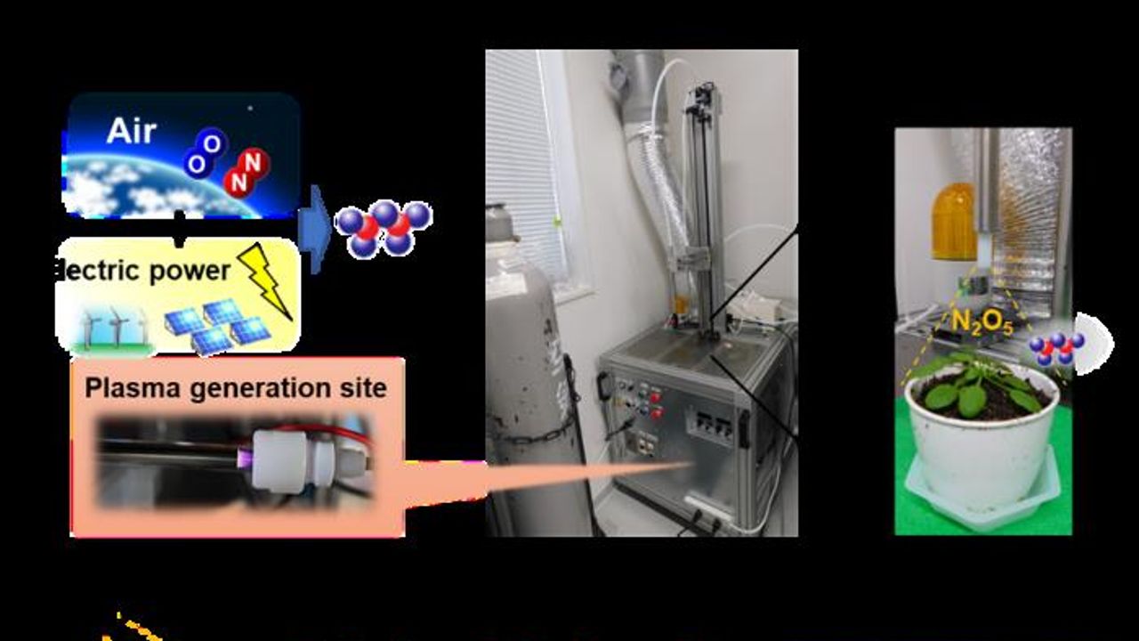 Plasma-Produced Gas Helps To Protect Plants From Pathogens