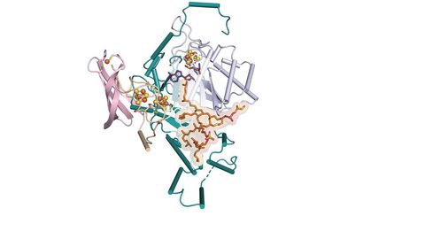 Missing Step in Lipid Formation Could Enable Detection of Past Climate