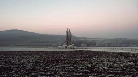 As Soils Freeze, Nitrous Oxide Emissions From Corn Belt Spike
