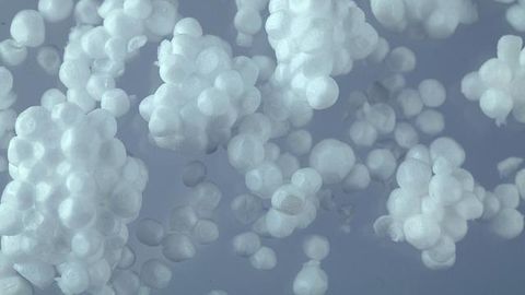 Novel Method Developed To Recycle Polystyrene