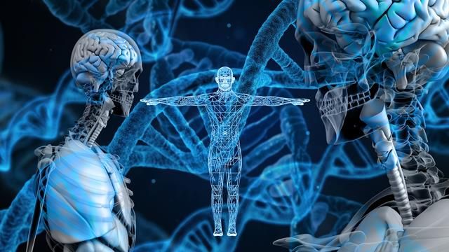 DNA“寄生虫”有一天帮助对抗癌症和体内疾病内容块的形象