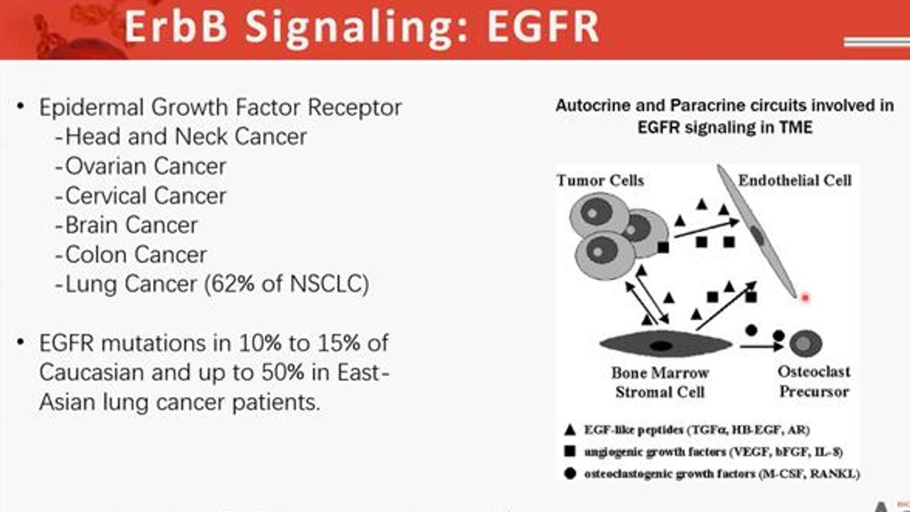 Targeting the TME and the Development of Effective Therapeutics Against Solid Tumors