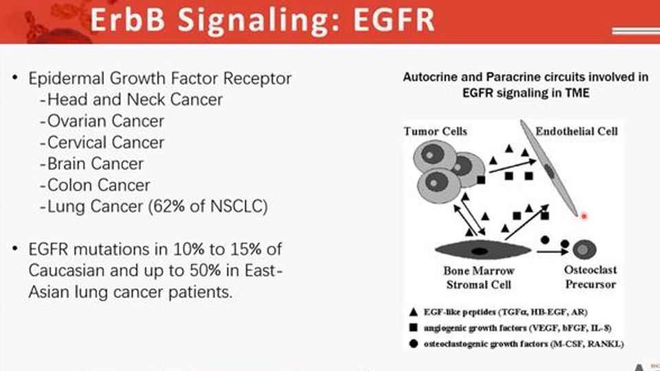 Targeting the TME and the Development of Effective Therapeutics Against Solid Tumors content piece image