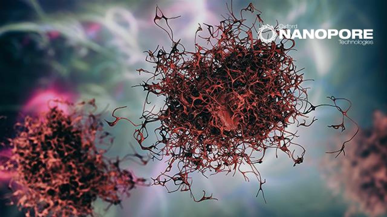 Rapid Leukemia Classification Using Nanopore Sequencing