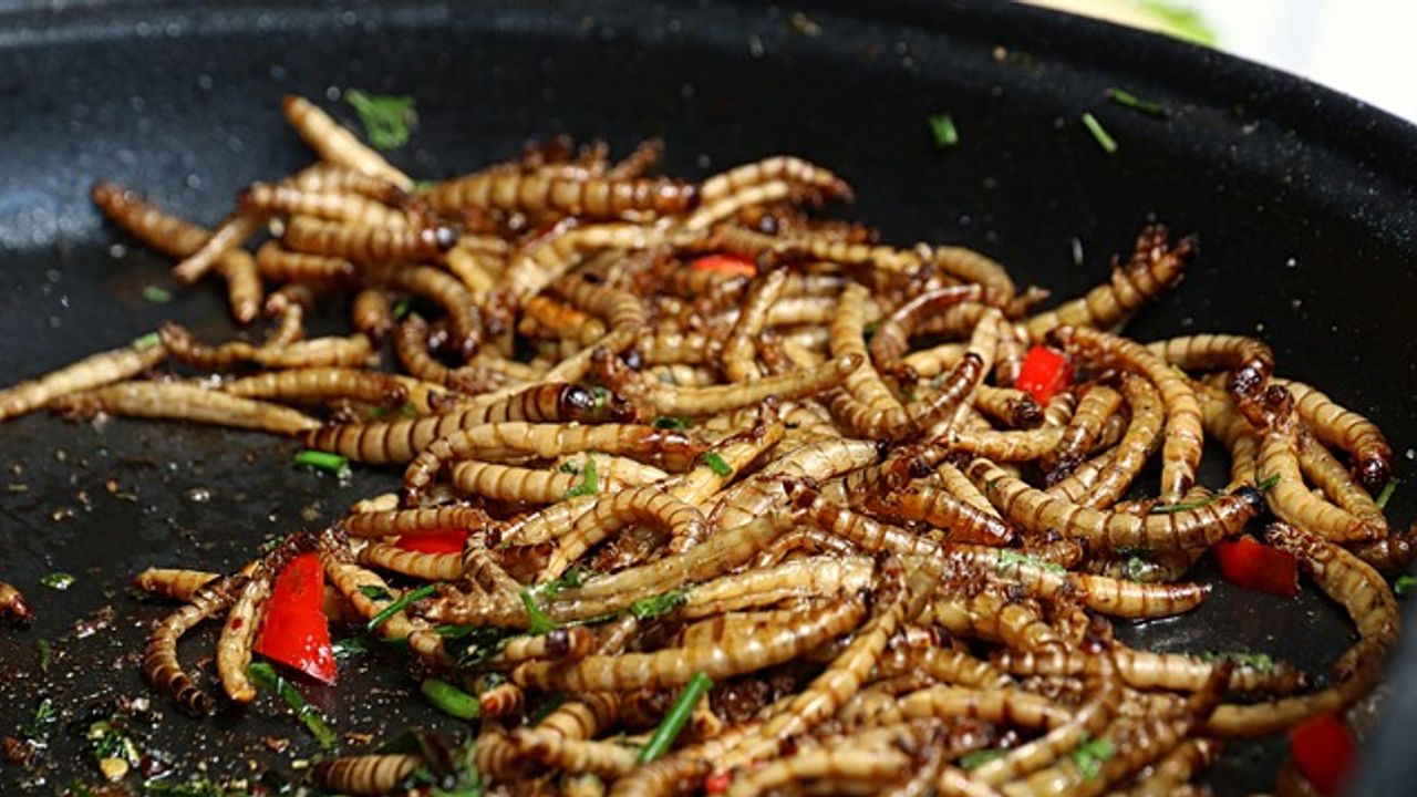 Mealworms Could Provide a Healthy "Meat-Like" Seasoning