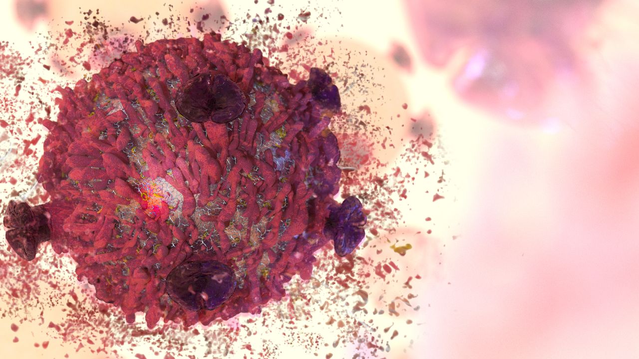 How a Cancer-Causing Virus Evades the Immune Response