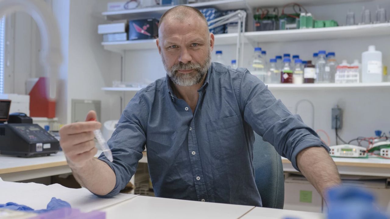 Turning Off Identity Protein Leads to Parkinson's Symptoms in Mice