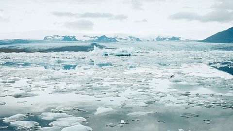 Giant Viruses in Climate-Endangered Arctic Freshwater Lake Investigated