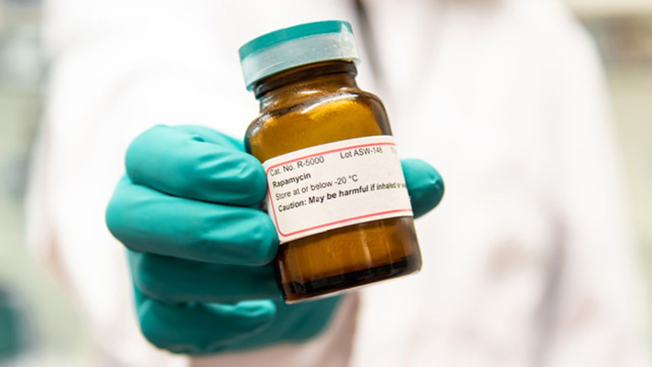 Short Blast of Anti-Aging Drug Proves Effective in Animal Study